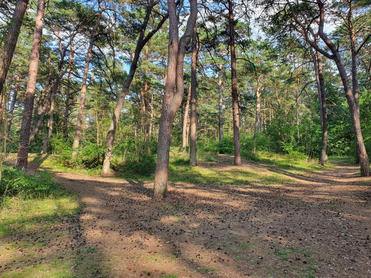 Domek Blisko Plazy Villa Świnoujście Exteriör bild